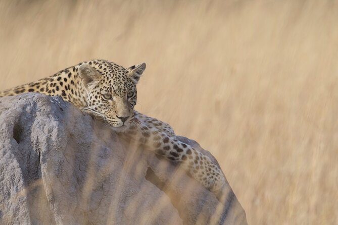 8 Day Chobe NP, Elephant Sands, Okavango Delta & Victoria Falls - Day 2 Guided Victoria Falls from both Zimbabwe and Zambia sides