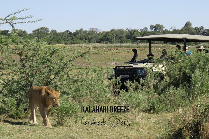 8 Day Highlights Of Botswana & Victoria Falls Overland Tour - Okavango Delta Camping Safari: Speedboat Channels, Mokoro Peace, and Firelight Evenings
