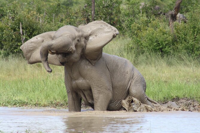 Adrenaline Jet Boat Safari in Victoria Falls - Wildlife Chances Inside Zambezi National Park