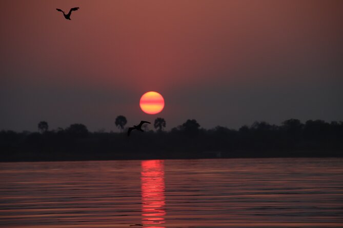 Adrenaline Jet Boat Safari in Victoria Falls - Price and Value: Is This $100 Worth It?