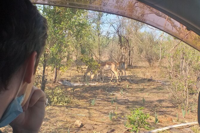Airport, Hotel and local transfers in Victoria Falls - Meeting Your Driver at VFA or the Hotel Entrance, Without the Guesswork