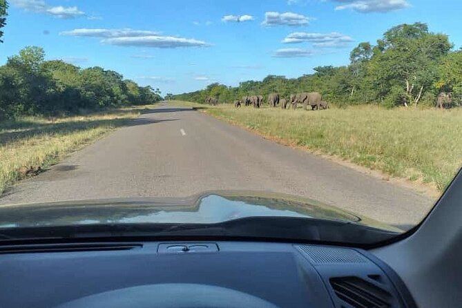 Airport, Hotel and local transfers in Victoria Falls - Public vs Private Transfers, and How They Handle Privacy
