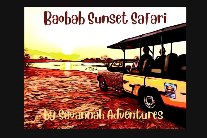 Baobab-Sunrise-Sunset-Vulture-Moonlight Safaris, 4 Options - Key highlights at a glance