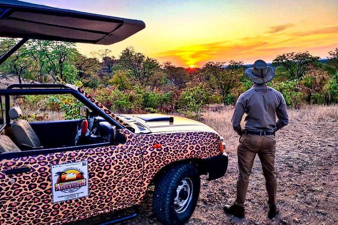 Baobab-Sunrise-Sunset-Vulture-Moonlight Safaris, 4 Options - Four departure styles: sunrise, sunset, vulture, and moonlight
