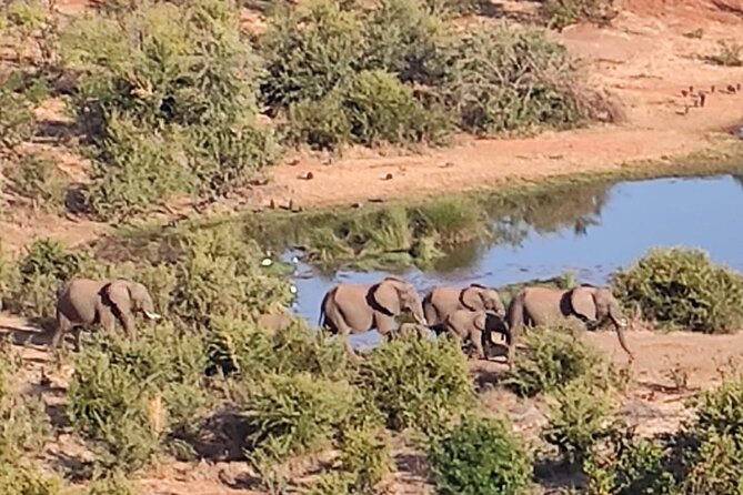 Baobab-Sunrise-Sunset-Vulture-Moonlight Safaris, 4 Options - Price, what you actually get for $80, and whether it’s good value