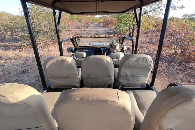Baobab-Sunrise-Sunset-Vulture-Moonlight Safaris, 4 Options - Who should book this Victoria Falls safari jeep, and who might skip it