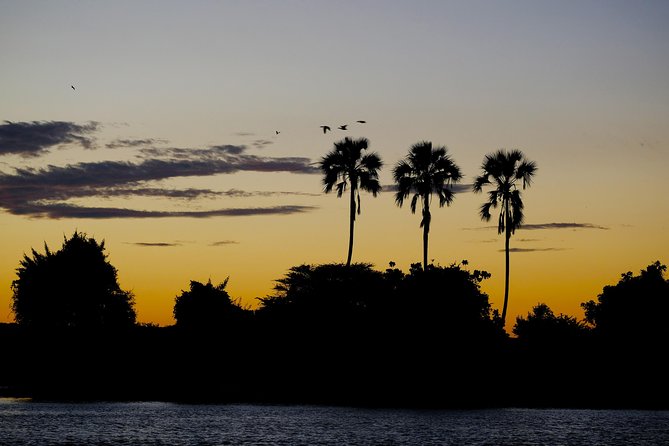 Birdwatching Cruise in Zambezi River with Breakfast - Breakfast onboard: what is included, and how to plan your morning