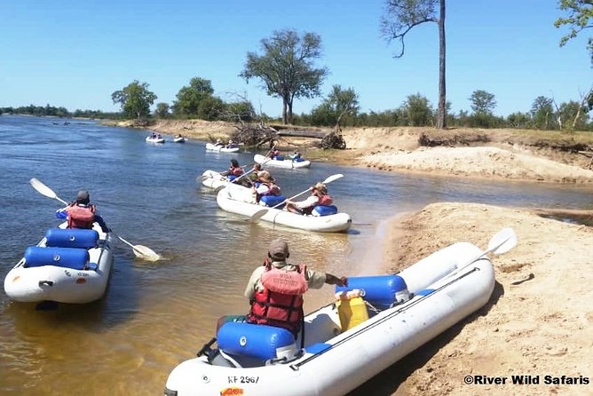Canoeing Upper Zambezi 1 Day - River Wild Safaris - Upper Zambezi on a canoe: what this day feels like