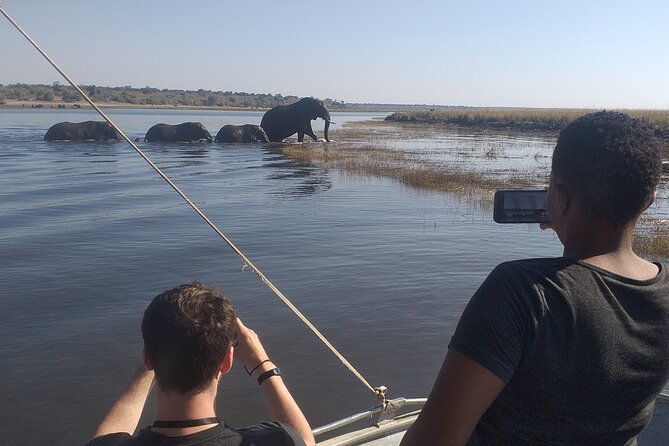 Chobe Botswana Full-Day Trip - What suits this tour best, and who might want a different option