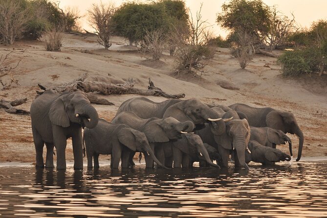 Chobe Day Trip - Key Chobe Day Trip Highlights