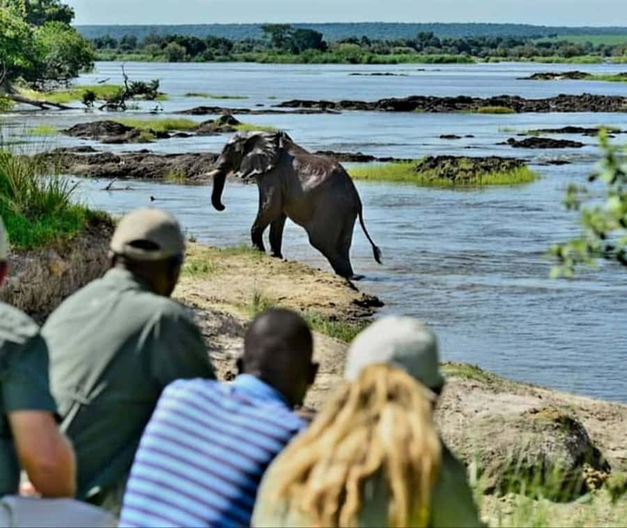 Chobe Day Trip - From Vic Falls - With Lunch (Buffet) - The Itinerary Order May Shift, So Stay Flexible