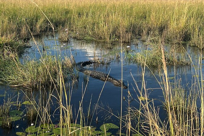Chobe Day Trip from Victoria Falls - A full Chobe day from Victoria Falls, plus the Kazungula border crossover