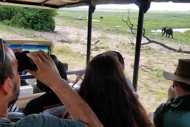 Chobe Day Trip from Victoria Falls, Zimbabwe - Chobe National Park game drive: lions, elephants, and timing
