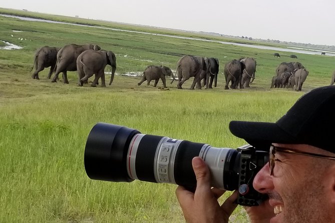 Chobe Day Trip from Victoria Falls, Zimbabwe - Guides and day flow: why it feels organized