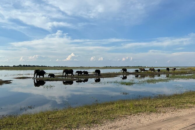 Chobe Day Trip from Victoria Falls - The 3-hour morning boat cruise: why the river view matters