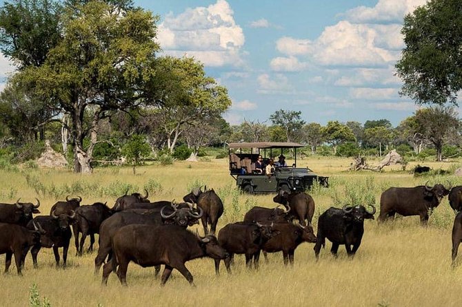 Chobe Day Trip Starting From Victoria Falls - Admission listed as free for the park stop