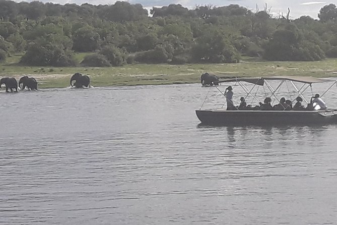 Chobe Day Trip Starting From Victoria Falls - Group size and personal attention: max 10 changes the feel