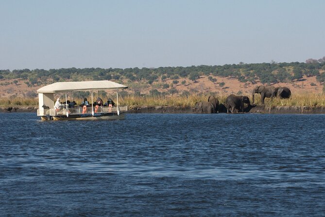Chobe Day Trip - The 07:30 Pickup and the Rhythm of Your Day
