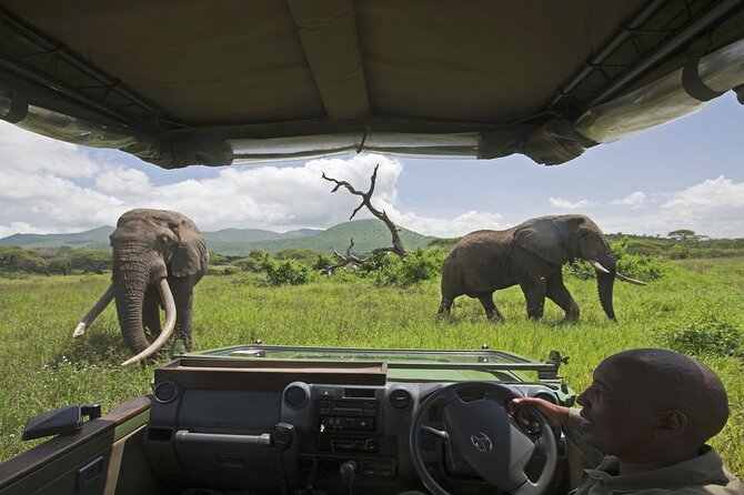 Chobe Extended Day Trip from Victoria Falls - Small Group - Chobe National Park in One Half-Day: What You Can Spot