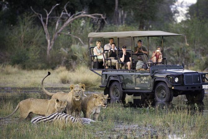 Chobe Extended Day Trip from Victoria Falls - Zimbabwe - Why the Chobe day starts at 5 a.m. from Victoria Falls