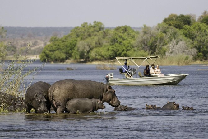 Chobe Extended Day Trip from Victoria Falls - Zimbabwe - Zambezi National Park stretch: the quiet warm-up before the main safari