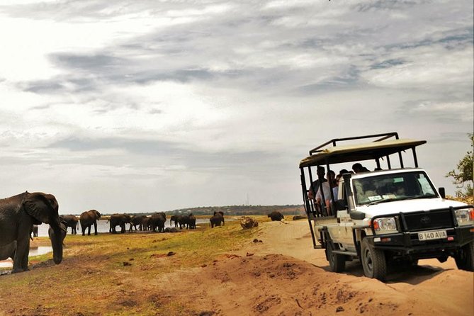 Chobe Extended Day Trip from Victoria Falls - Zimbabwe - Should I book this Chobe extended day trip?