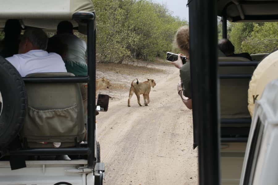 Chobe Extended Day Trip - 5 a.m. pickup and border timing you can actually plan around