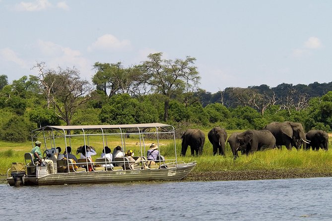 Chobe Full Day Safari Trip - Why Chobe Full Day Makes Sense From Victoria Falls