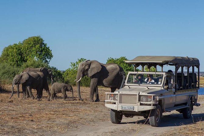 Chobe Full day Safari with Victoria falls Sunrise Tour Combo - Key things you should know before you go