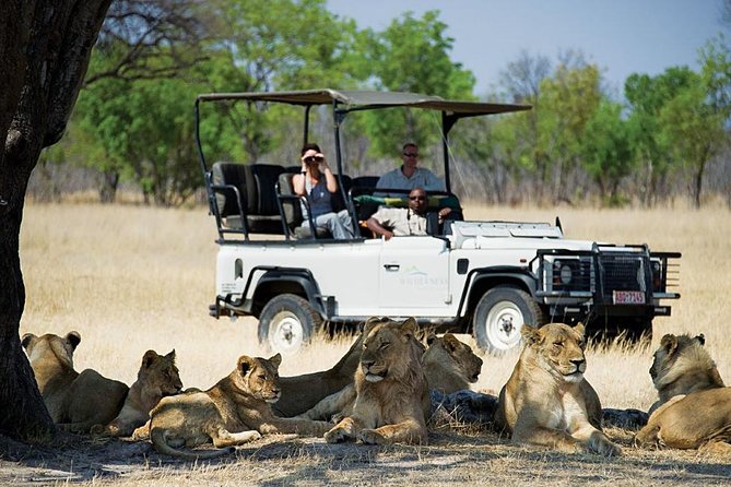 Chobe Full day Safari with Victoria falls Sunrise Tour Combo - A long, high-impact day: Victoria Falls sunrise plus Chobe