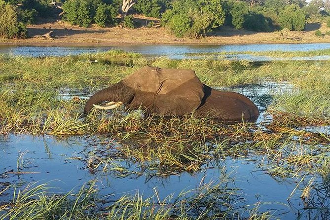 Chobe Full day Safari with Victoria falls Sunrise Tour Combo - Victoria Falls sunrise: 16 viewpoints, local guide, fast morning return