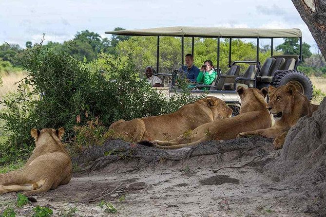 Chobe Full Day Trip From Victoria Falls - Key things to know before you go