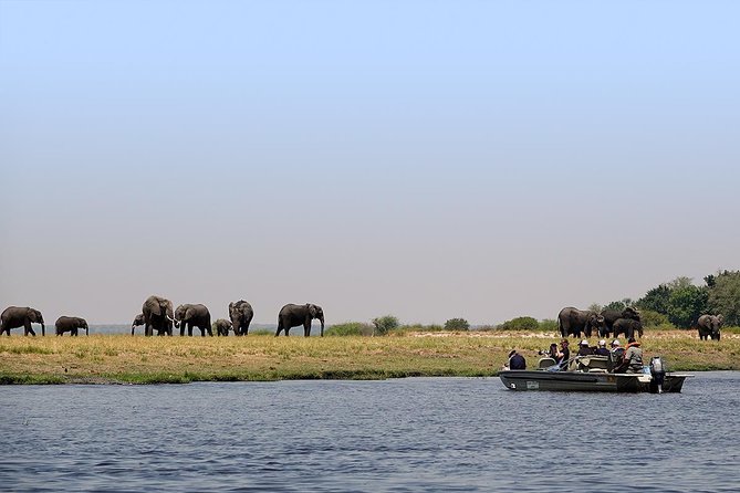 Chobe Full Day Trip From Victoria Falls - Chobe in One Long Day: How the 10 Hours Actually Feel
