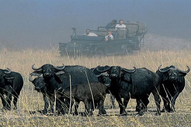 Chobe Full Day Trip From Victoria Falls - Guides and Drivers: Who Makes the Day Feel Smooth