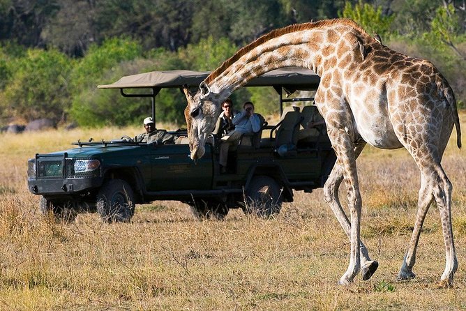Chobe Full Day Trip From Victoria Falls - Group Size, Comfort, and Photo Planning