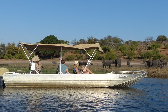Chobe Full Day Trip From Victoria Falls - Pickup, Timing, and the Drive to Botswana