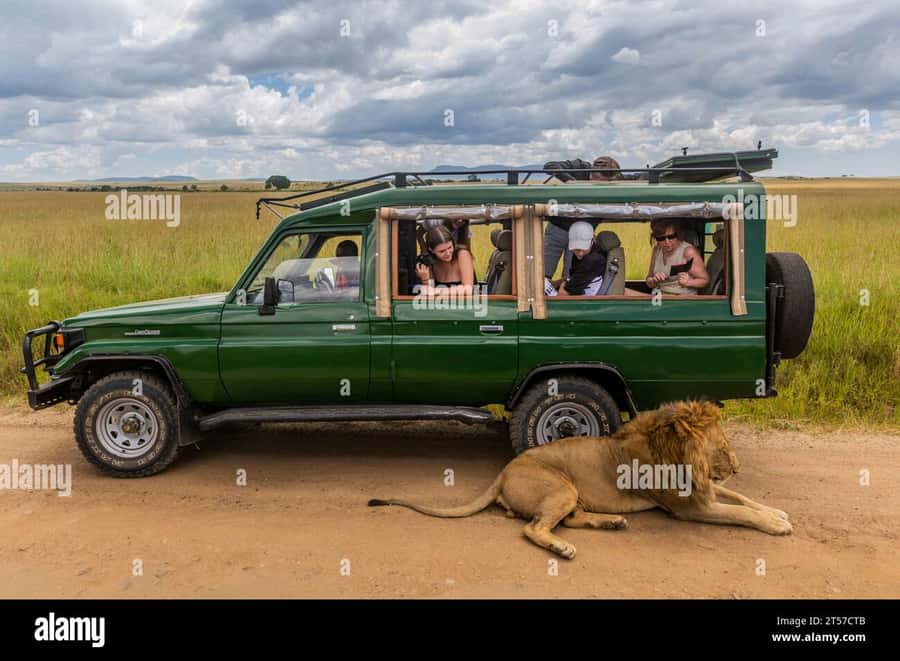 Chobe Half Day Trip from Victoria Falls - Why Chobe in 6 hours beats a full day