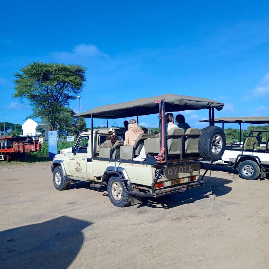 Chobe Half Day Trip from Victoria Falls - Service quality: what I would watch for on the ground