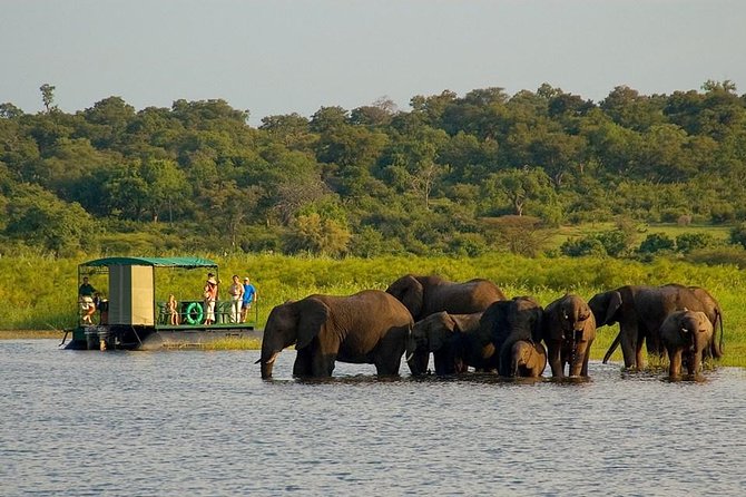 Chobe National Park 4X4 Day Safari and River Cruise - Key highlights worth planning for