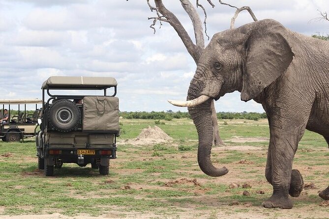 Chobe National Park Day Trip from Victoria Falls with Lunch - Why This Chobe Day Trip Feels Efficient (and Worth It)