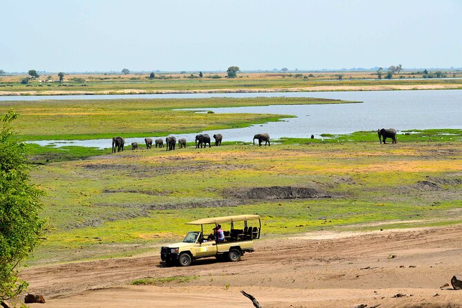 Chobe National Park Day Trip from Victoria Falls with Lunch - Morning Pickup and the Kazungula Border Reality Check