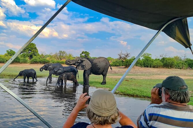Chobe National Park Day Trip from Victoria Falls with Lunch - Lunch at Cresta Mowana: A Proper Midday Reset