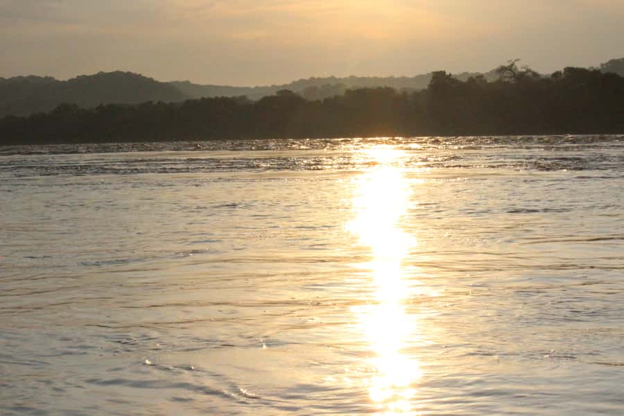 Chobe National Park: Game Drive, Boat Tour, and Lunch - What This Day Trip Fits Best