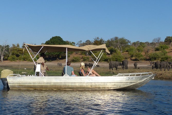 Chobe Sunrise upto Sunset Day trip from Victoria Falls 5AM - 7PM - The Chobe River Boat Cruise: Why This Part Often Steals the Day