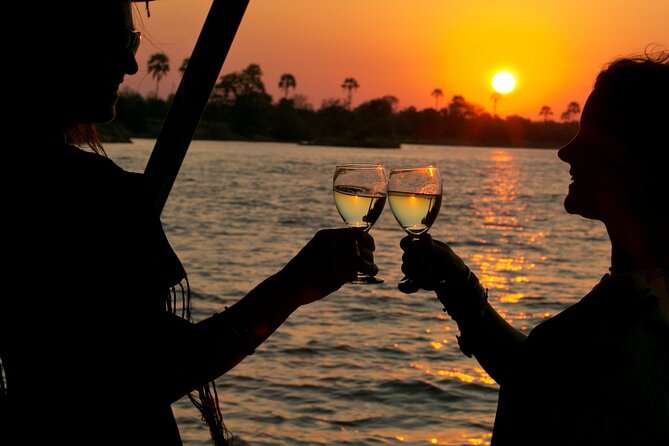 Dinner Cruise on the Zambezi River, Victoria Falls - The ride, stop by stop: what the Zambezi segment is really like