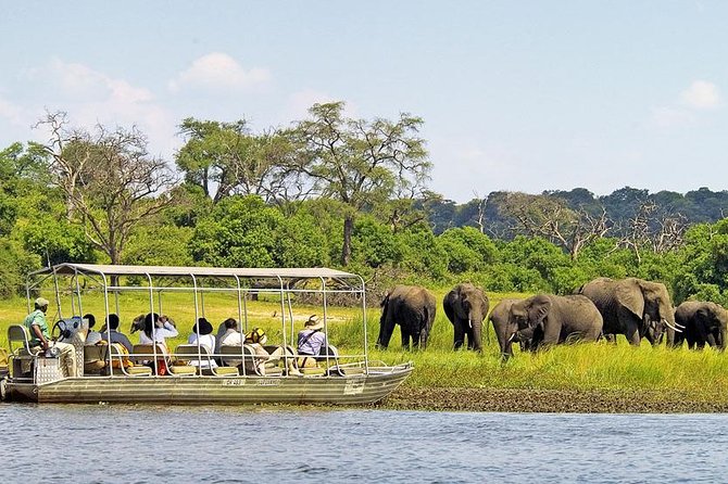 Explore Chobe National Park With a Day Trip from Victoria Falls - Key highlights worth getting excited about