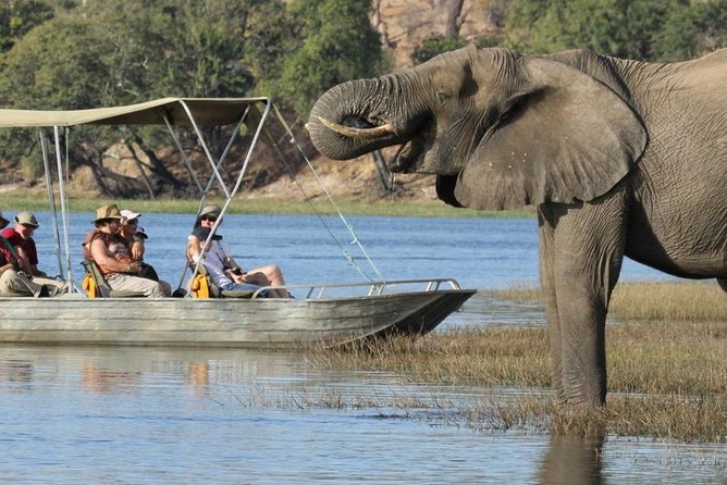Explore Chobe National Park With a Day Trip from Victoria Falls - Victoria Falls to Chobe in one long day: the reality check