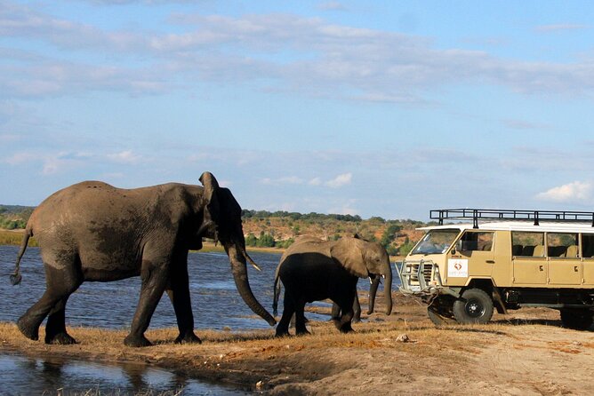 Explore Chobe National Park With a Day Trip from Victoria Falls - Price and value: how $217 per person makes sense for most budgets