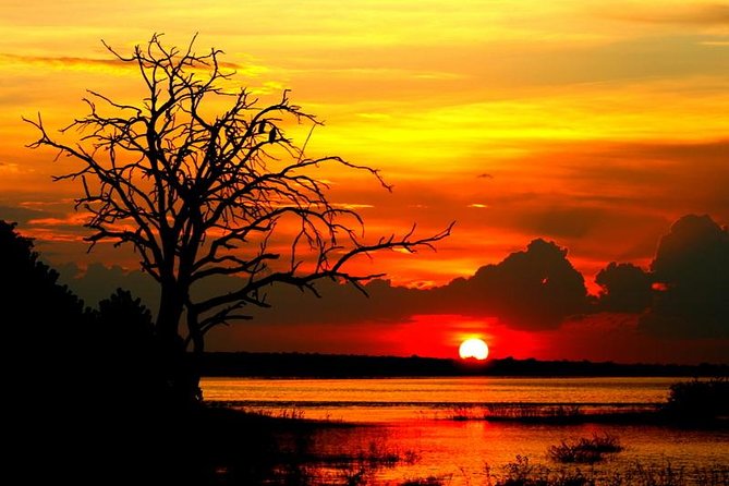 Explore Chobe National Park With a Day Trip from Victoria Falls - Getting picked up in Victoria Falls, 7:00 am style