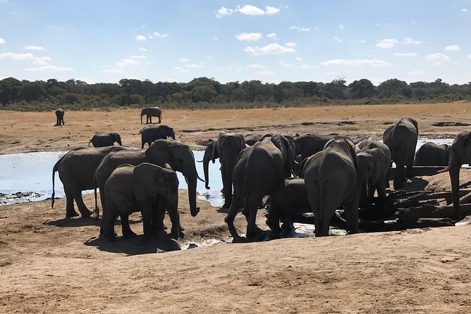 Five-Day Hwange NP, Chobe NP and Victoria Falls Combo - Key things that make this Hwange, Chobe and Victoria Falls combo work